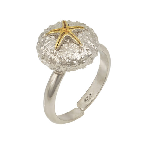 Silver ring sea urchin