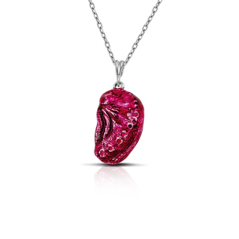 aphrodite's ear sterling silver sea shell necklace with red enamel