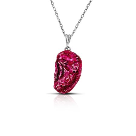 aphrodite's ear sterling silver sea shell necklace with red enamel